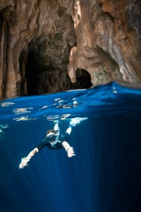 whales-underwater-darrenjew-photography-1
