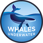 Whales Underwater Logo